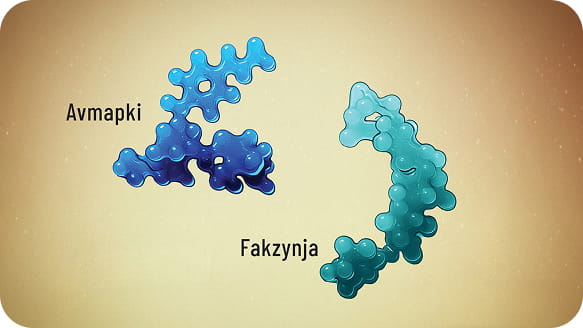Diagram showing RAS/RAF/MEK/ERK and FAK pathways